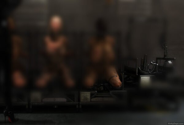 IRRESISTIBLE SLAVES 2 - Image 4