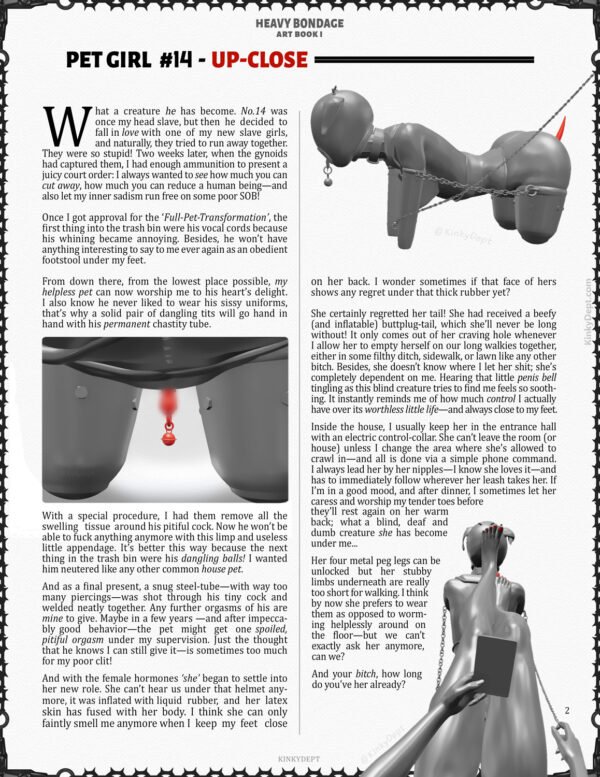 HEAVY BONDAGE Art Book I - Image 5
